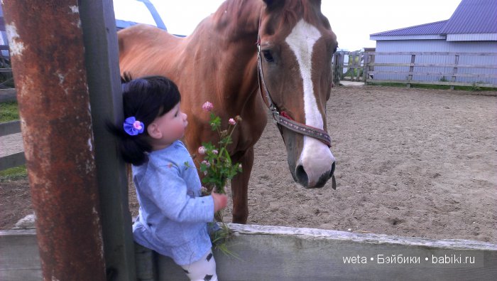 Три дня на природе — Куклы Lee Middleton (Ли Миддлтон): Reva Schick (фото 5)
