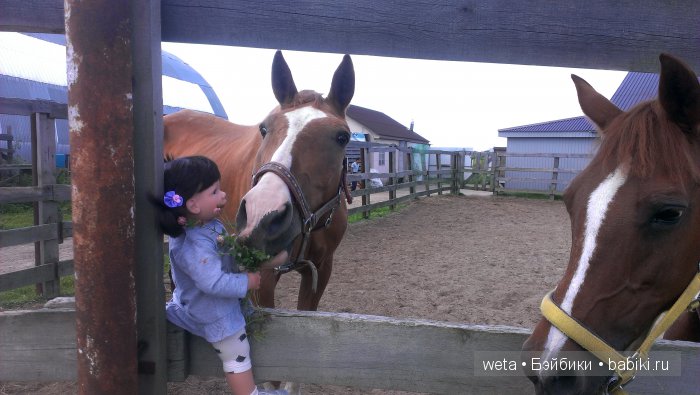 Три дня на природе — Куклы Lee Middleton (Ли Миддлтон): Reva Schick (фото 10)