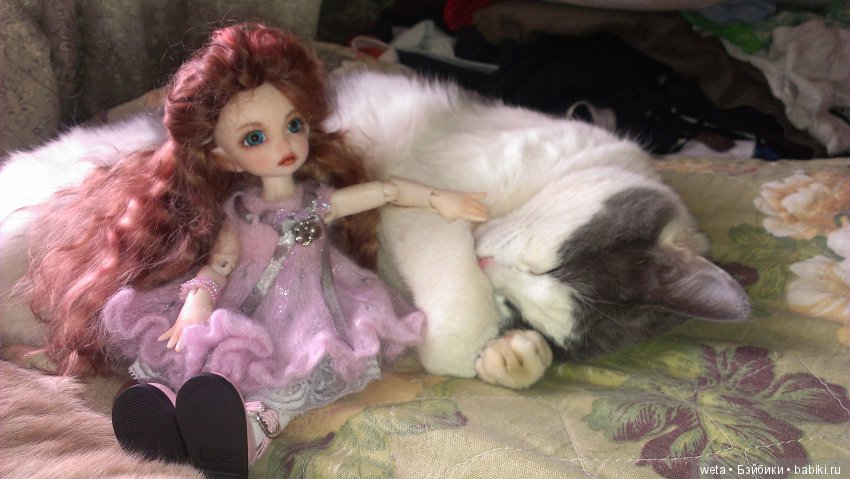 Наши друзья или те кто всегда с нами рядом (фото 8)