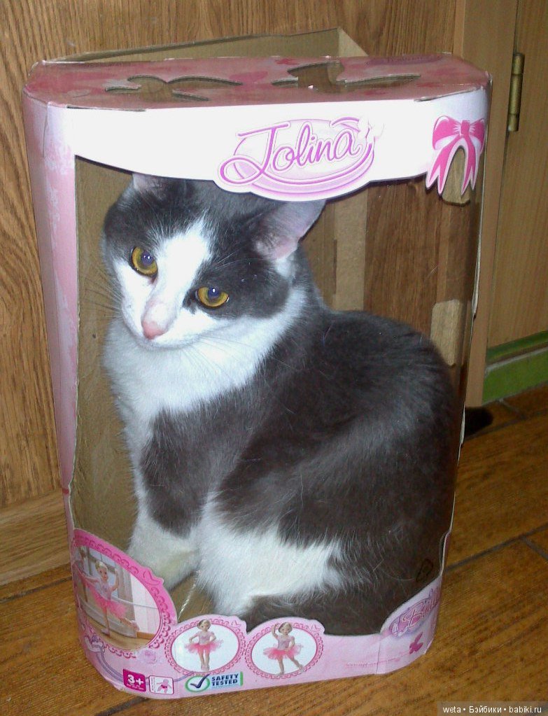 Наши друзья или те кто всегда с нами рядом (фото 4)