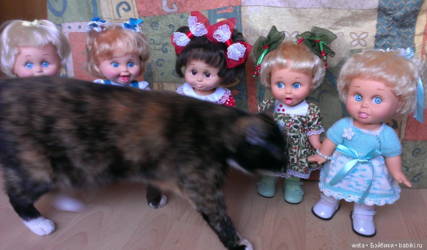 Наши друзья или те кто всегда с нами рядом (фото 7)