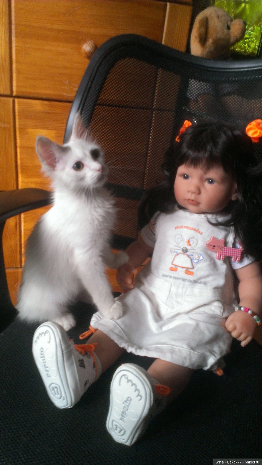 Наши друзья или те кто всегда с нами рядом