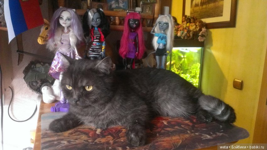 Наши друзья или те кто всегда с нами рядом (фото 10)