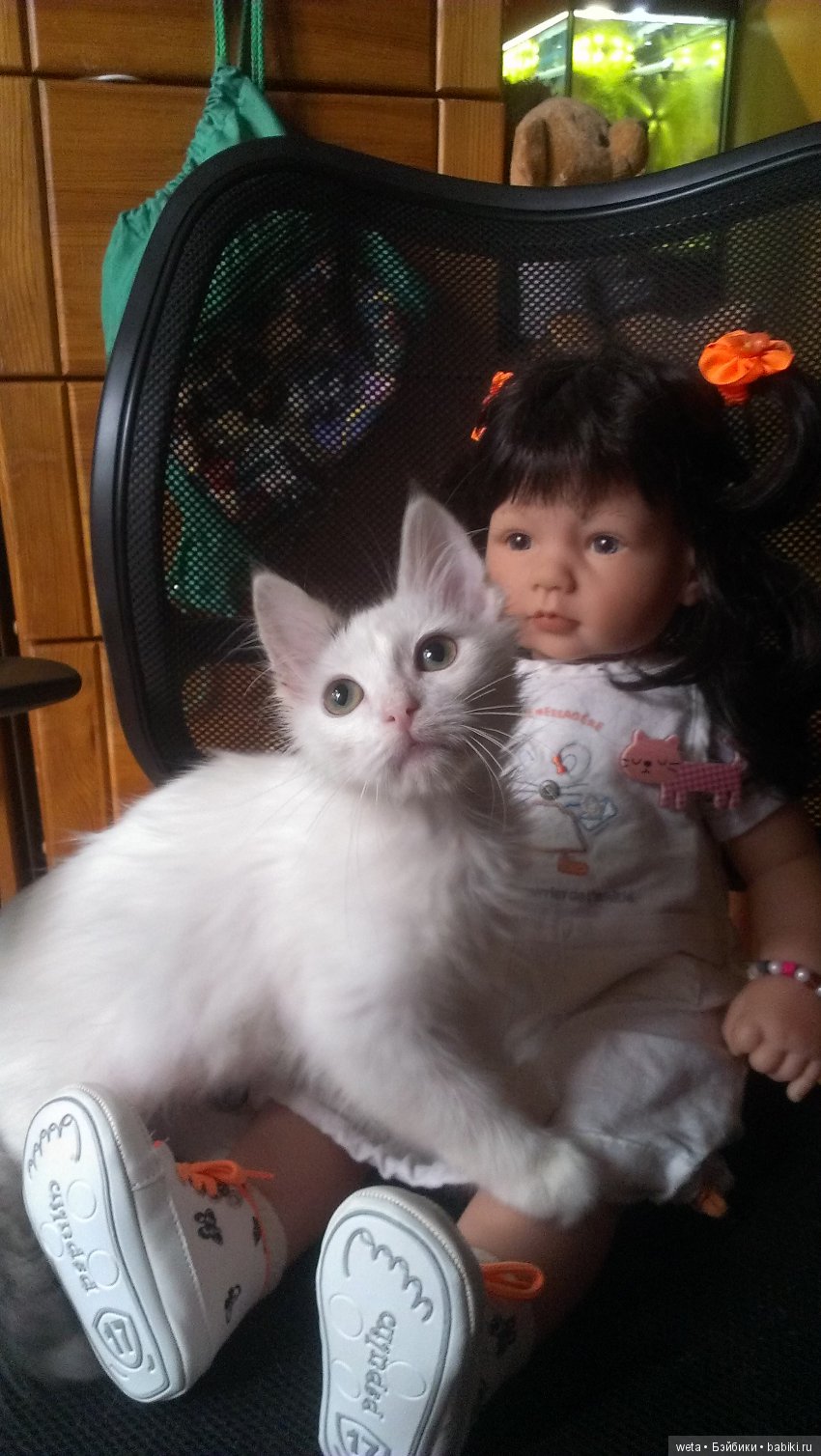 Наши друзья или те кто всегда с нами рядом