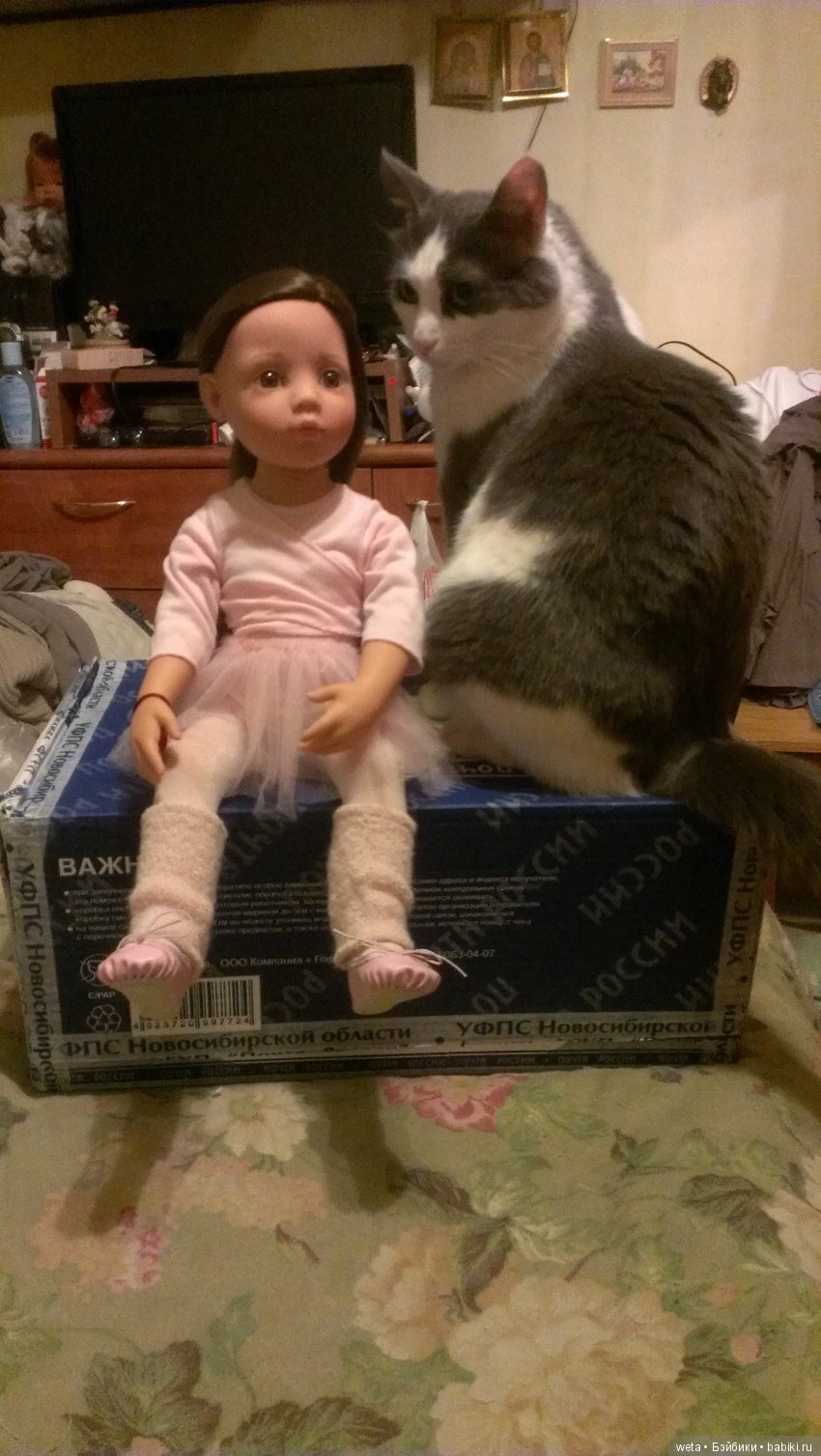 Наши друзья или те кто всегда с нами рядом (фото 3)