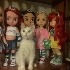 Наши друзья или те кто всегда с нами рядом