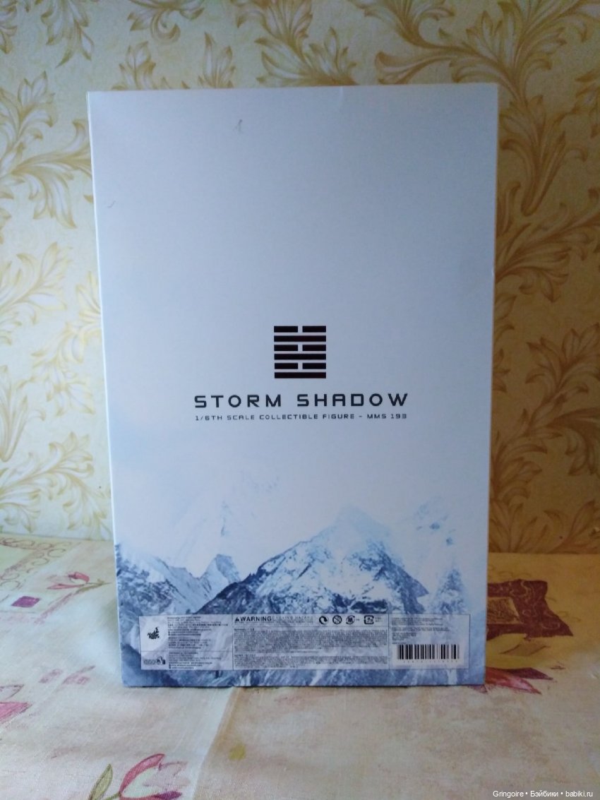 Штормовое предупреждение – Storm Shadow by Hot Toys | Бэйбики Штормовое предупреждение – Storm Shadow by Hot Toys (фото 2)