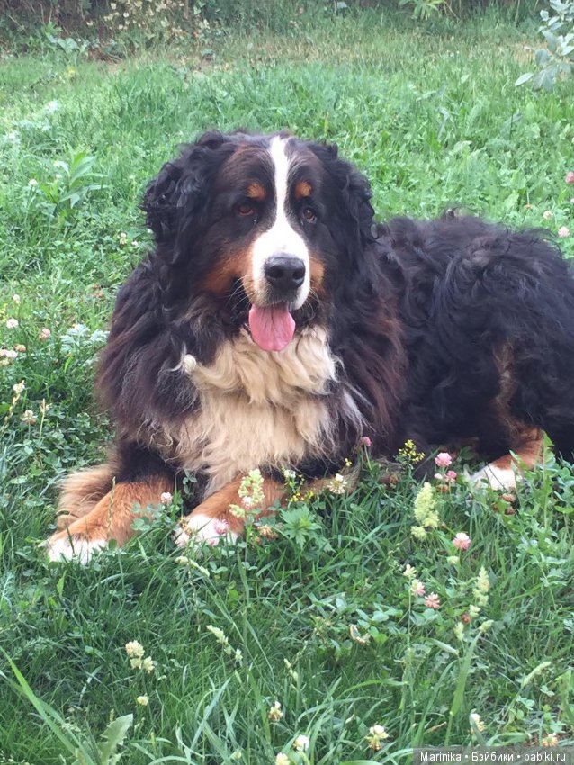 Этот мальчик уже на небесах