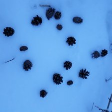 То ли сказка, то ли анекдот