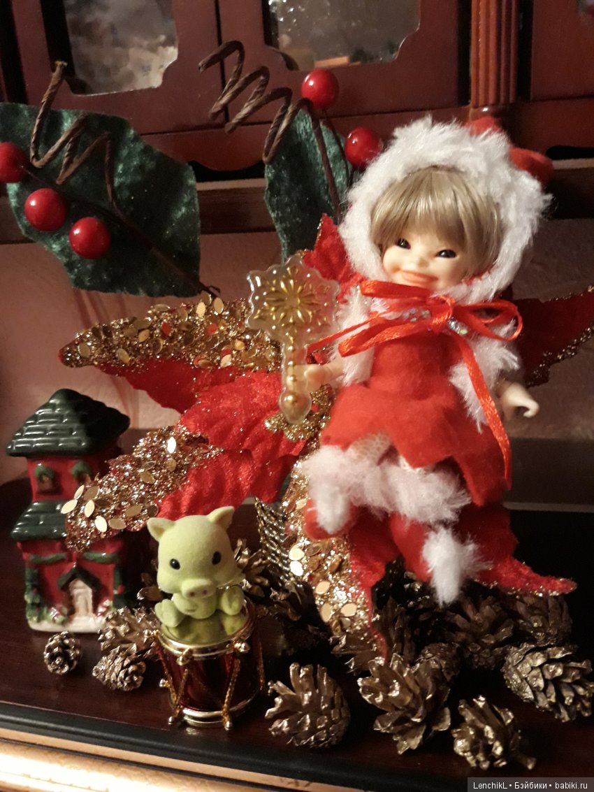 Что такое "Рождественская звезда" (фото 3)