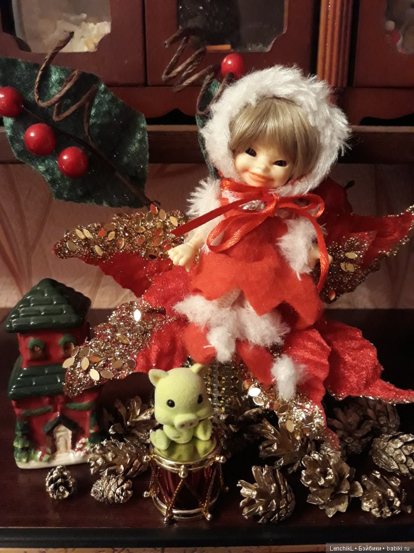 Что такое "Рождественская звезда" (фото 2)