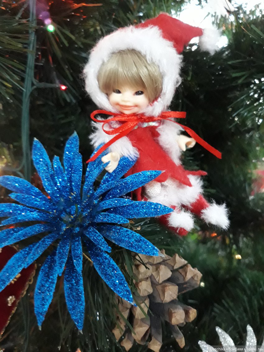 Что такое "Рождественская звезда" (фото 6)