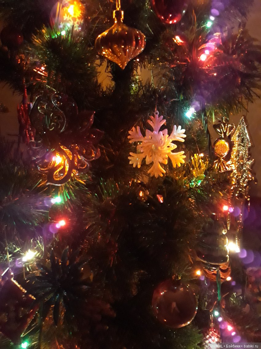 Что такое "Рождественская звезда" (фото 8)