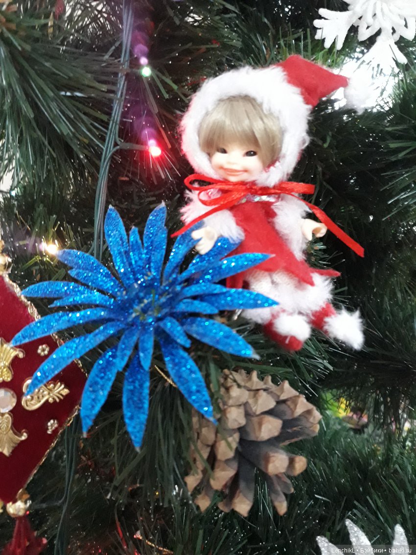 Что такое "Рождественская звезда" (фото 5)