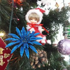 Что такое "Рождественская звезда" ?