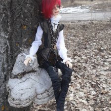 Ушёл за мечтой