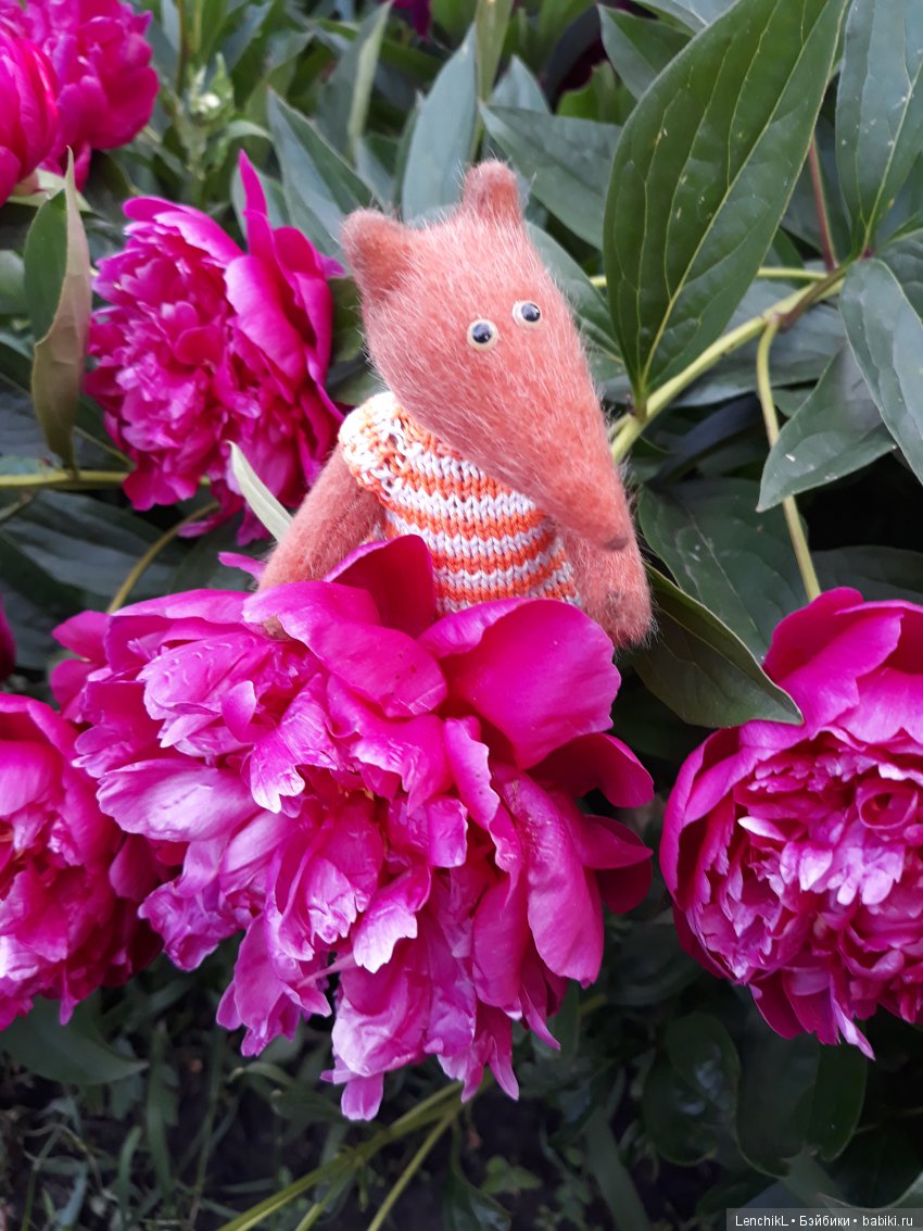 Встретить садового гнома — Домашние фото авторских кукол: личные коллекции (фото 9)