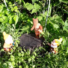 Встретить садового гнома