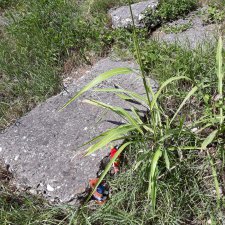 Что остаётся после отпуска