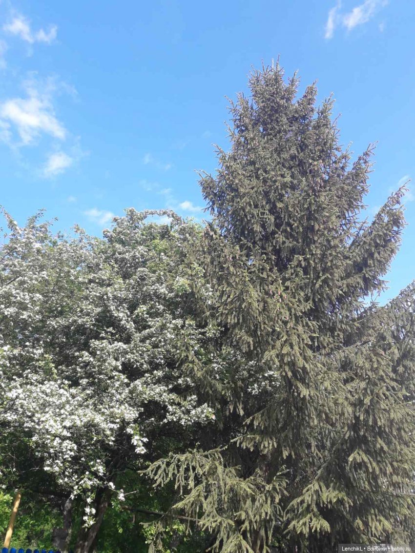 Тропою Древних котов | Бэйбики Тропою Древних котов — Разные шарнирные куклы (не БЖД): редкие (фото 3)