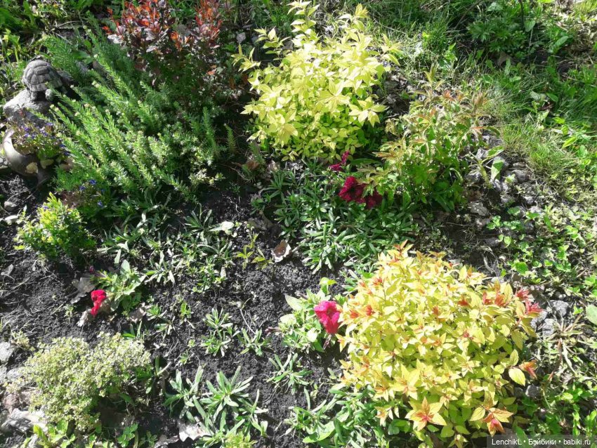 Тропою Древних котов | Бэйбики Тропою Древних котов — Разные шарнирные куклы (не БЖД): редкие (фото 4)