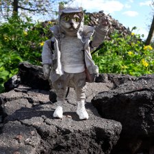 Тропою Древних котов