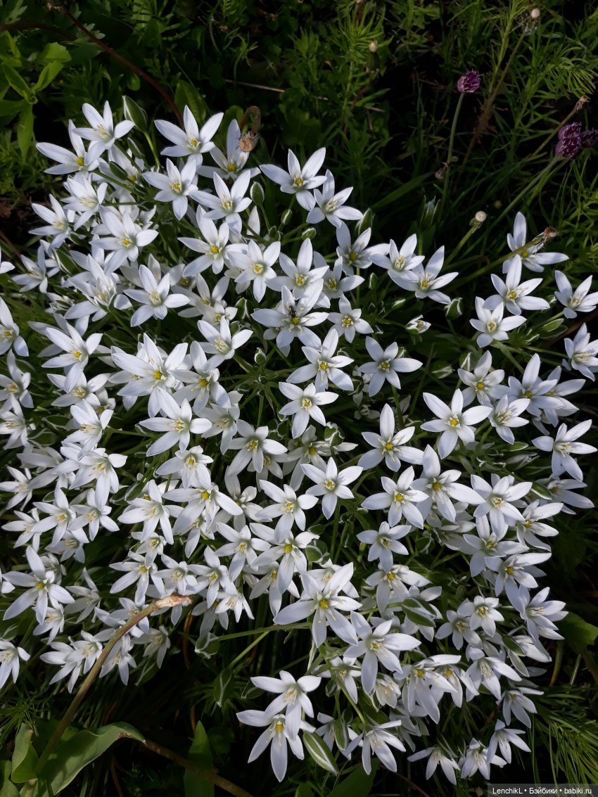 Деловая колбаса — Интересные игрушки и фигурки (разное): редкие (фото 7)