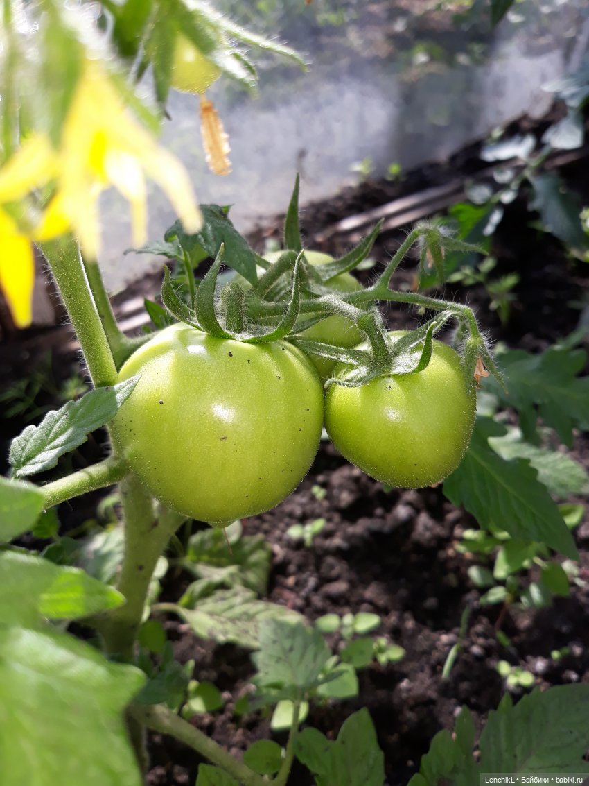 Деловая колбаса — Интересные игрушки и фигурки (разное): редкие (фото 8)