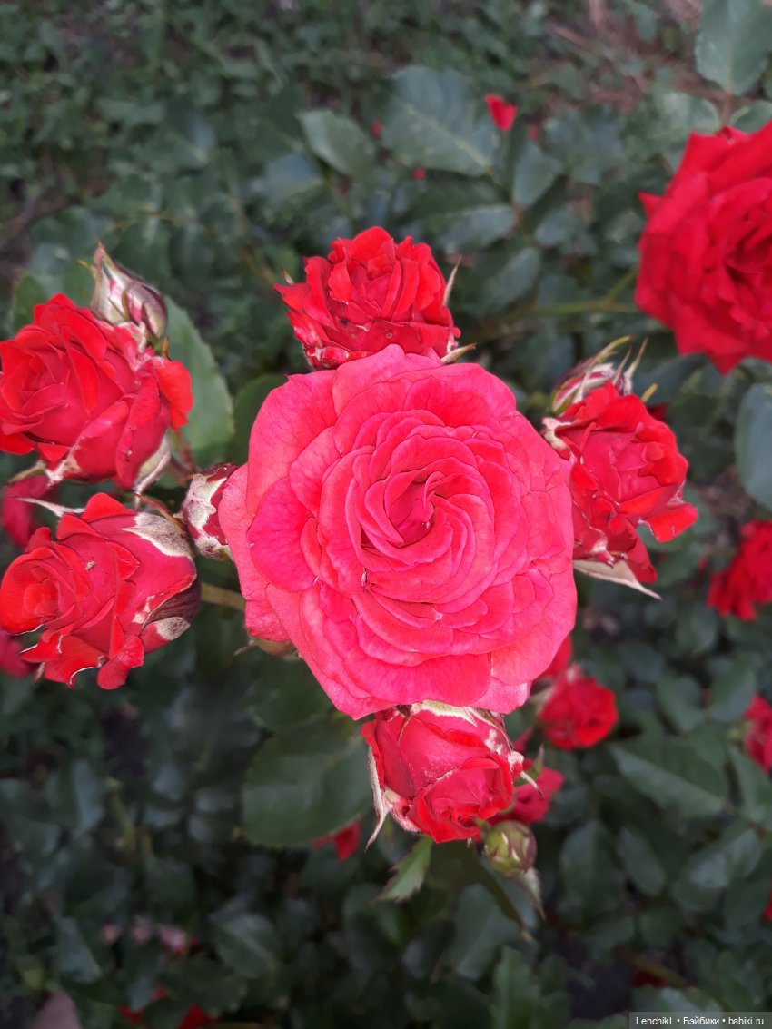 Какого цвета ангелы — Фигурки Nendoroid (Нендороиды) и Cu (фото 6)