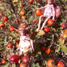 Когда феечки скучают