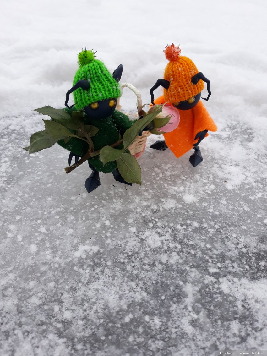 Как Миро и Васо за цветами ходили (фото 8)