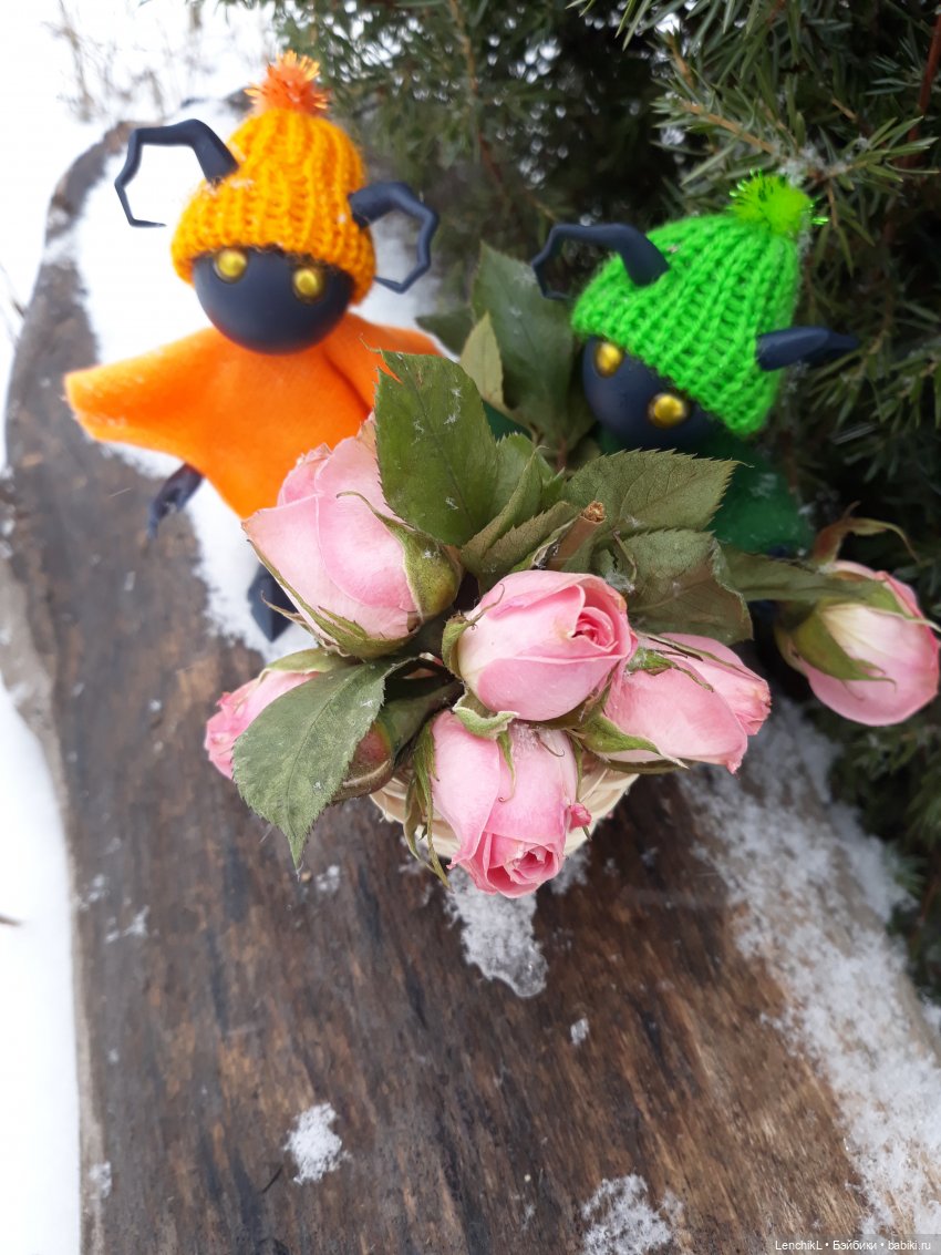 Как Миро и Васо за цветами ходили (фото 9)