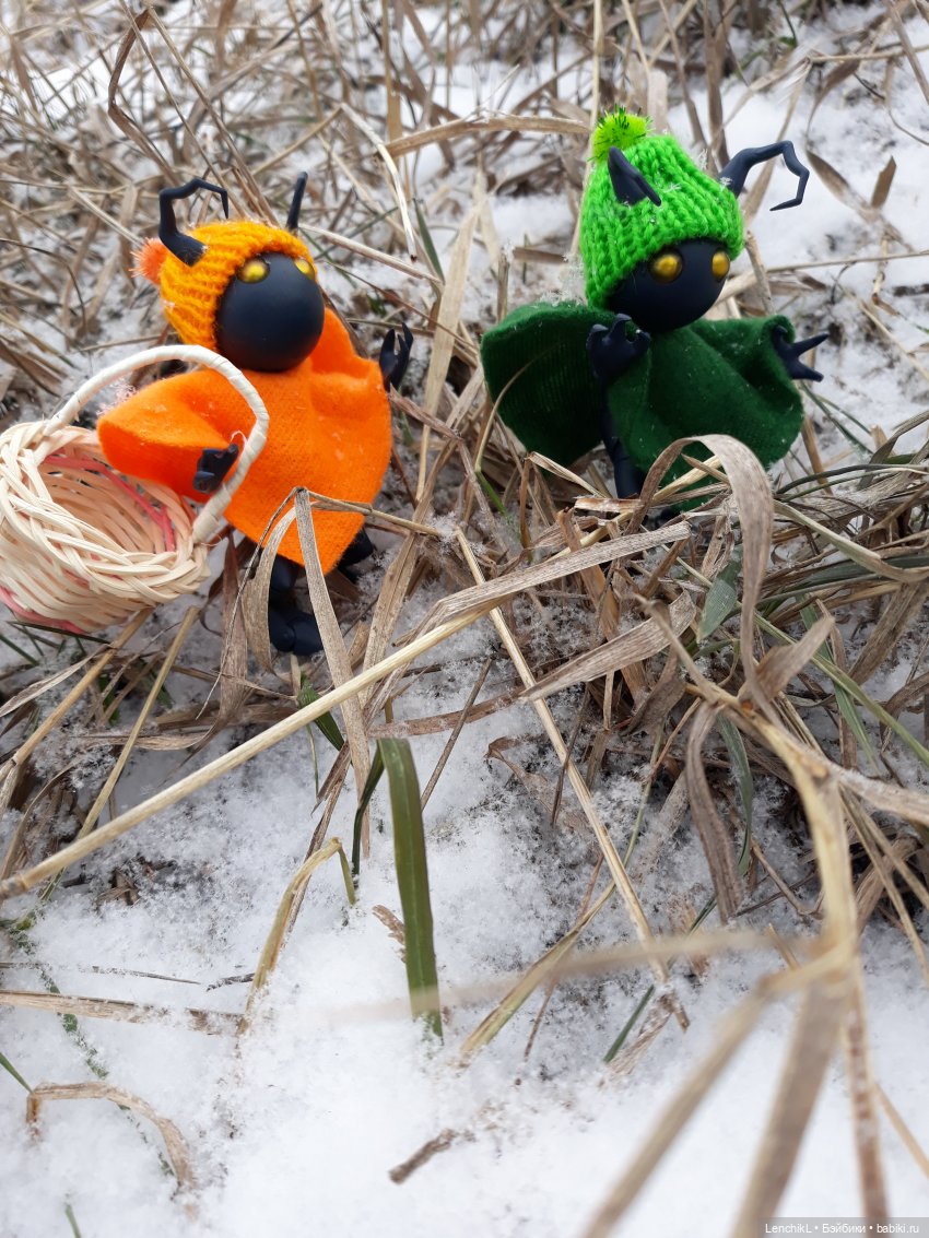 Как Миро и Васо за цветами ходили (фото 5)