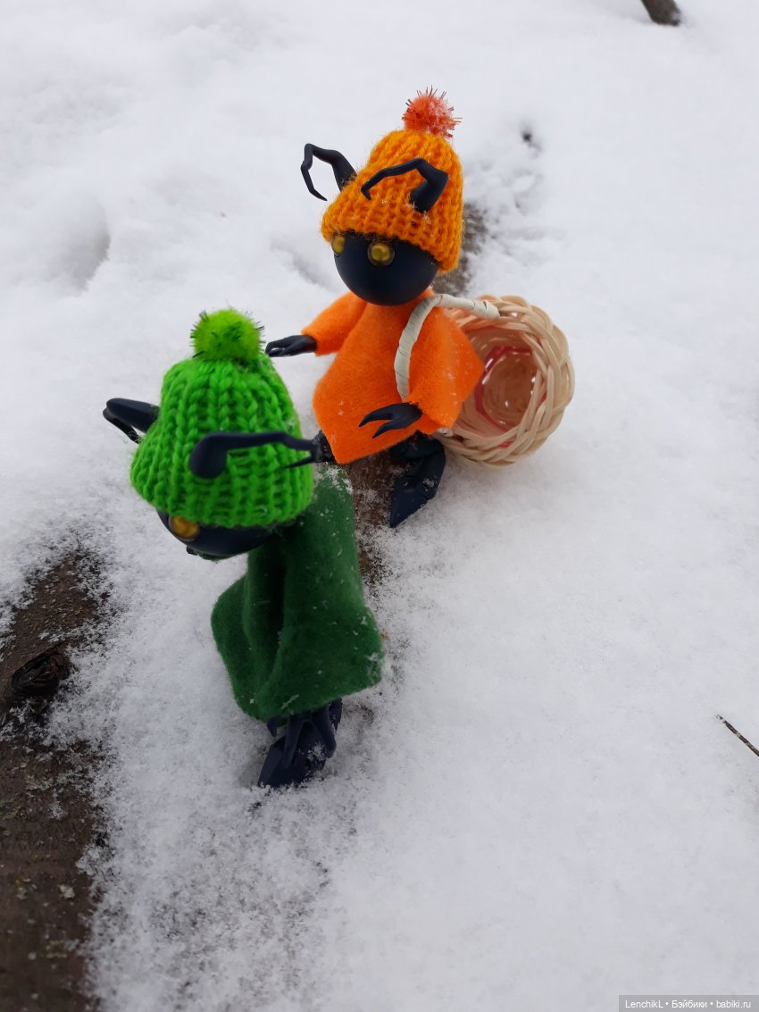 Как Миро и Васо за цветами ходили (фото 4)