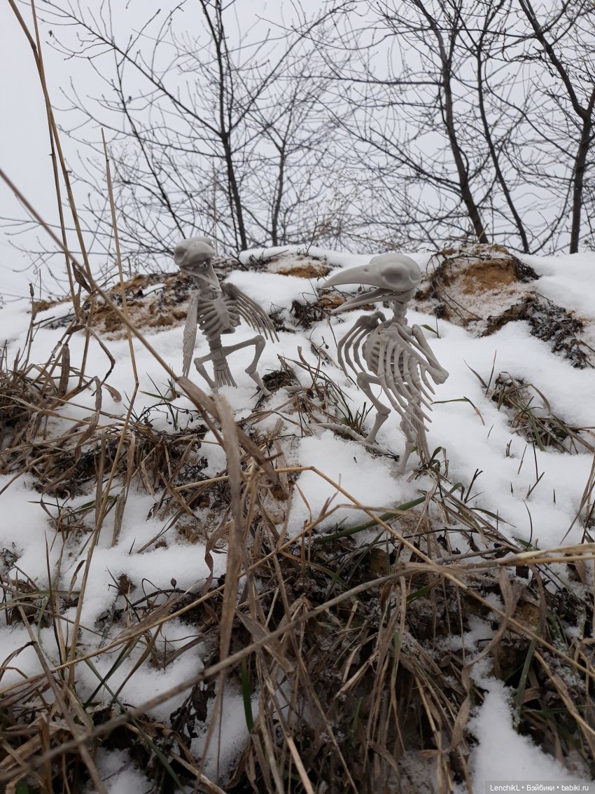 Как Миро и Васо за цветами ходили (фото 6)