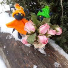 Как Миро и Васо за цветами ходили