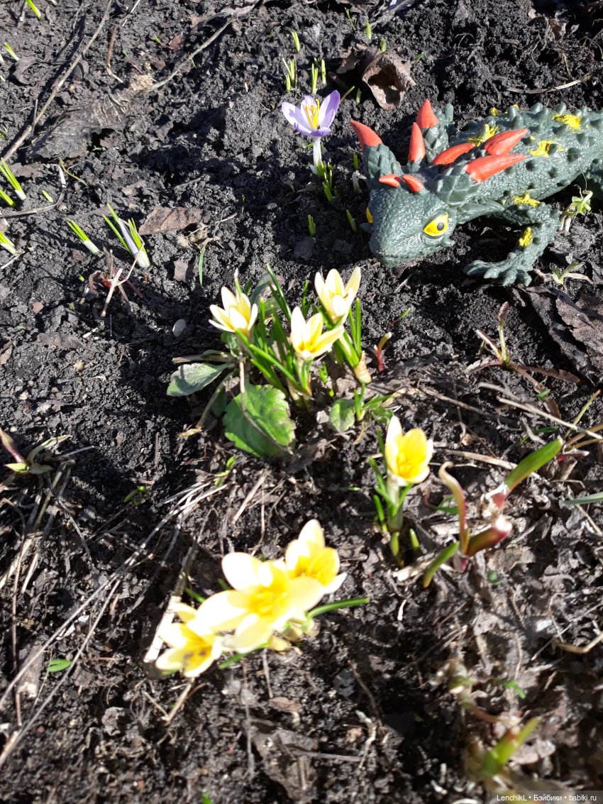 Аша и Осо в поиске — Фотоистории с куклами BJD (БЖД): сериалы