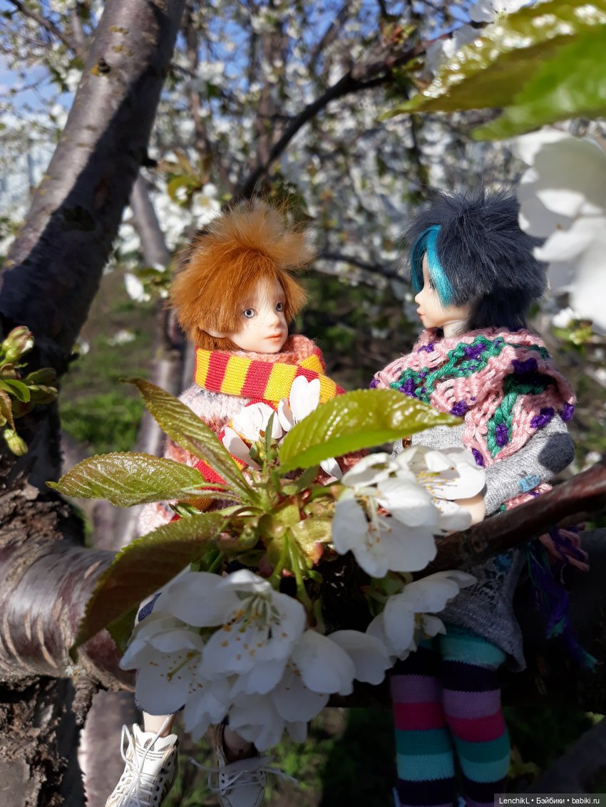 Семья — Фотоистории с куклами BJD (БЖД): сериалы (фото 7)