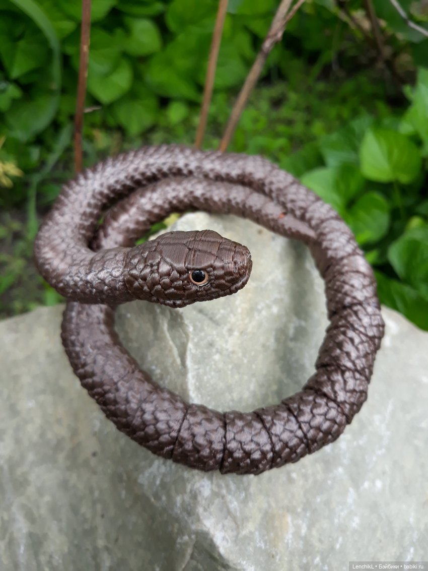 Крис и хитромудрый Че — Фотоистории с куклами BJD (БЖД): сериалы (фото 9)