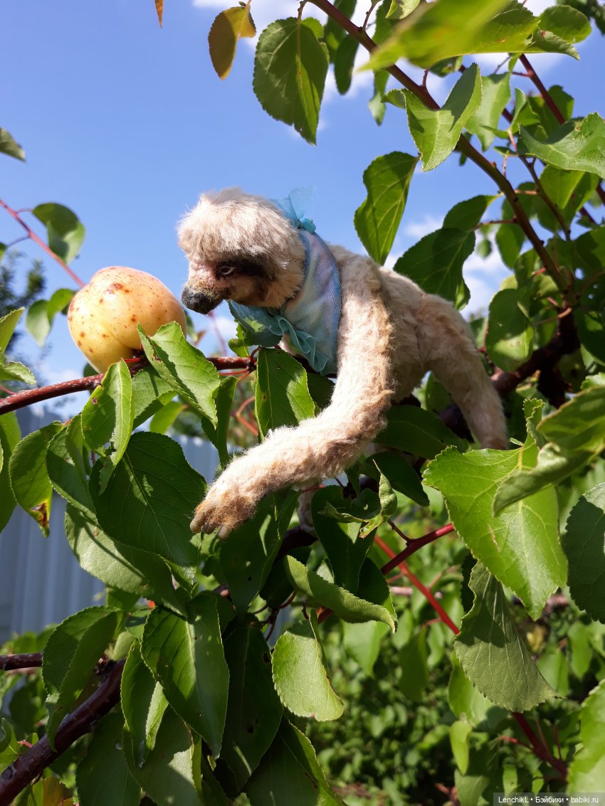 Кто понял жизнь тот больше не спешит