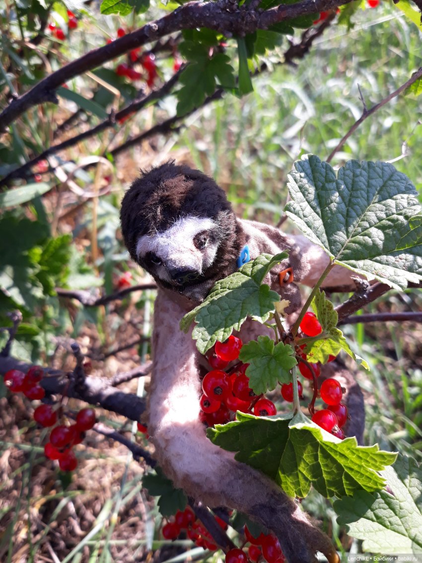 Кто понял жизнь тот больше не спешит (фото 7)