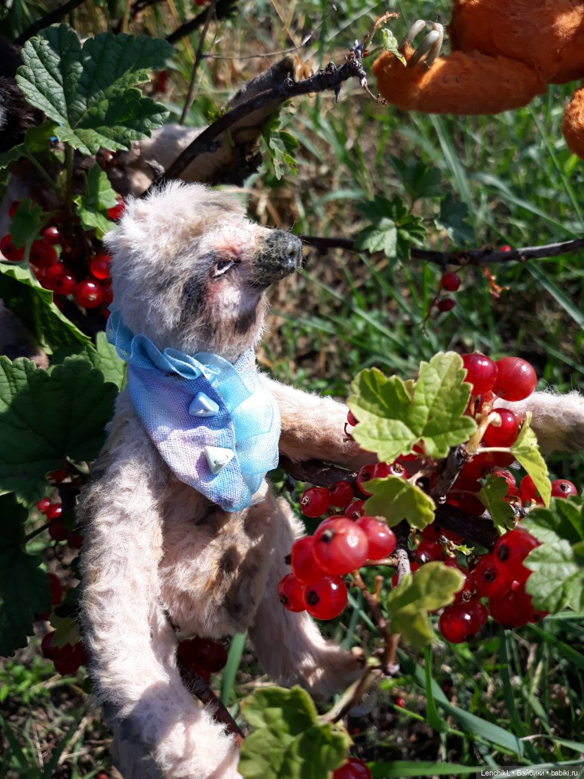 Кто понял жизнь тот больше не спешит (фото 8)