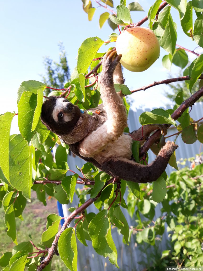 Кто понял жизнь тот больше не спешит (фото 4)