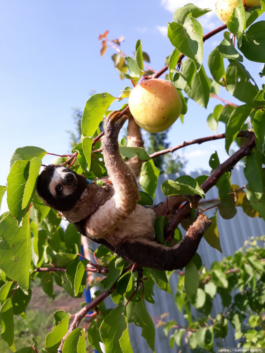 Кто понял жизнь тот больше не спешит (фото 3)