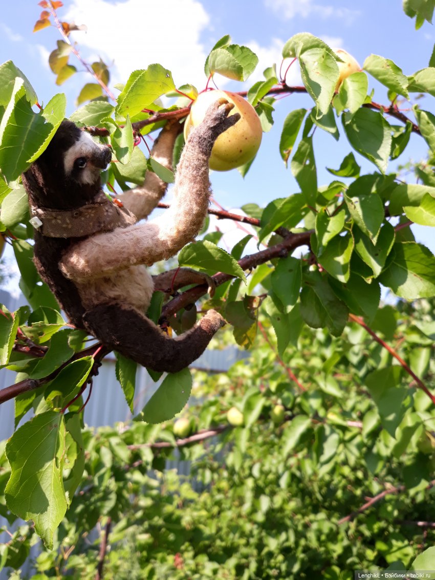 Кто понял жизнь тот больше не спешит (фото 5)