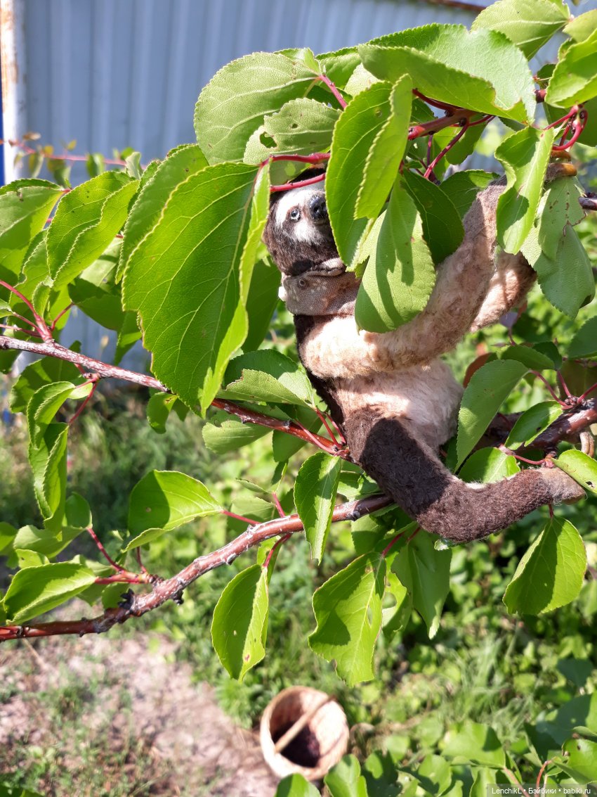 Кто понял жизнь тот больше не спешит (фото 2)
