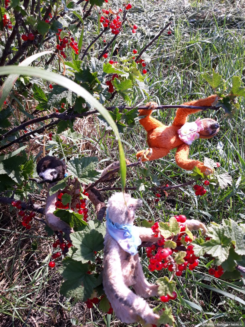 Кто понял жизнь тот больше не спешит (фото 6)