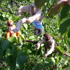 Кто понял жизнь тот больше не спешит