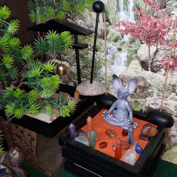 Мой любимый сюрприз