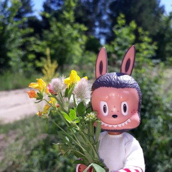 Ох уж эти моды